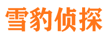 灵川市侦探公司